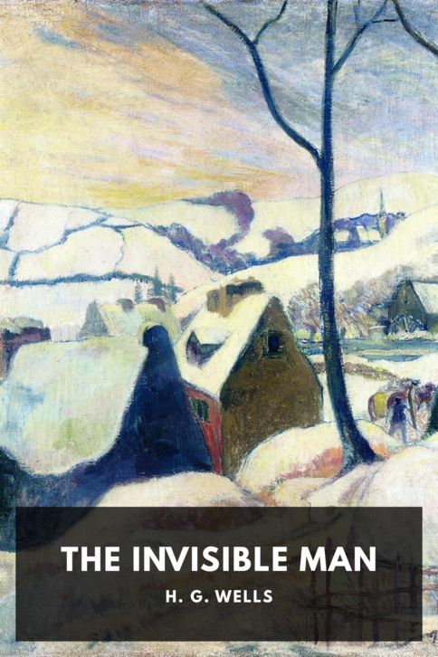 The Invisible Man — Standard Ebooks cover art